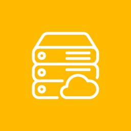 سرور اختصاصی - پلن طلایی